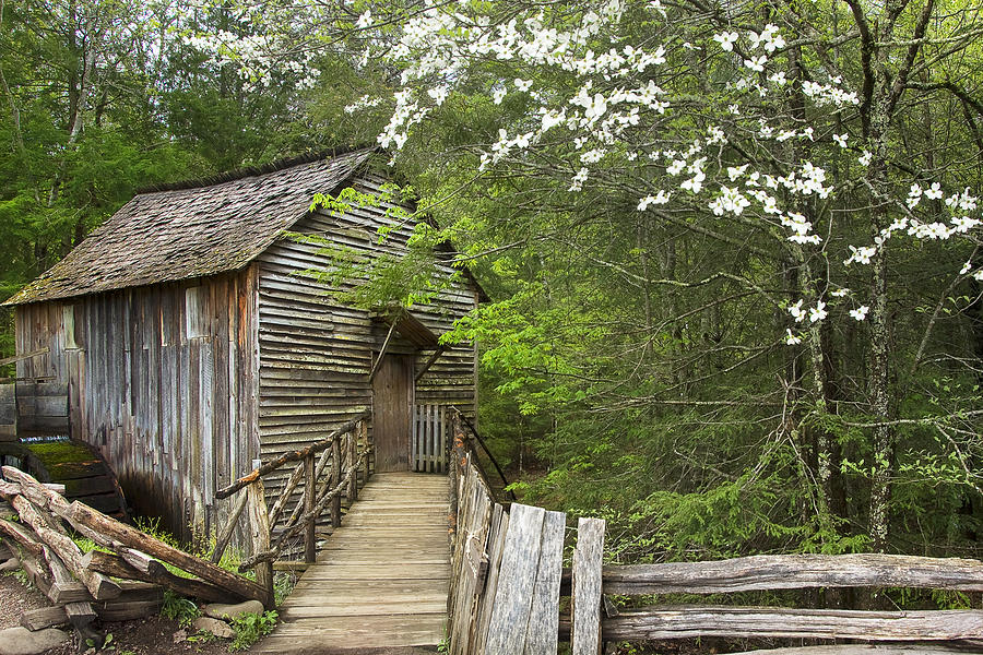 Great Smoky Mountains - John P. Cable Grist Mill Photograph by Susan ...