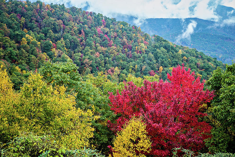   Great Smoky Mountains National Park  Photograph by Alex Grichenko