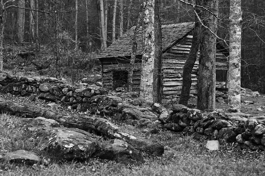 Black And White Photograph - Great Smoky Mountains National Park by Brian M Lumley