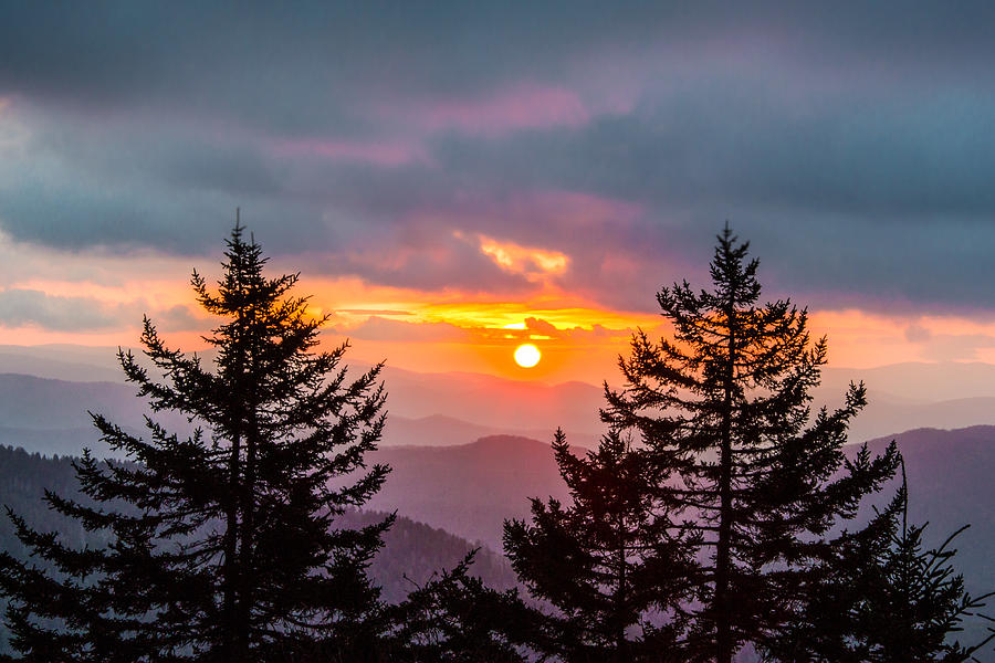 Great Smoky Mountains National Park NC Between The Firs Photograph by Robert Stephens