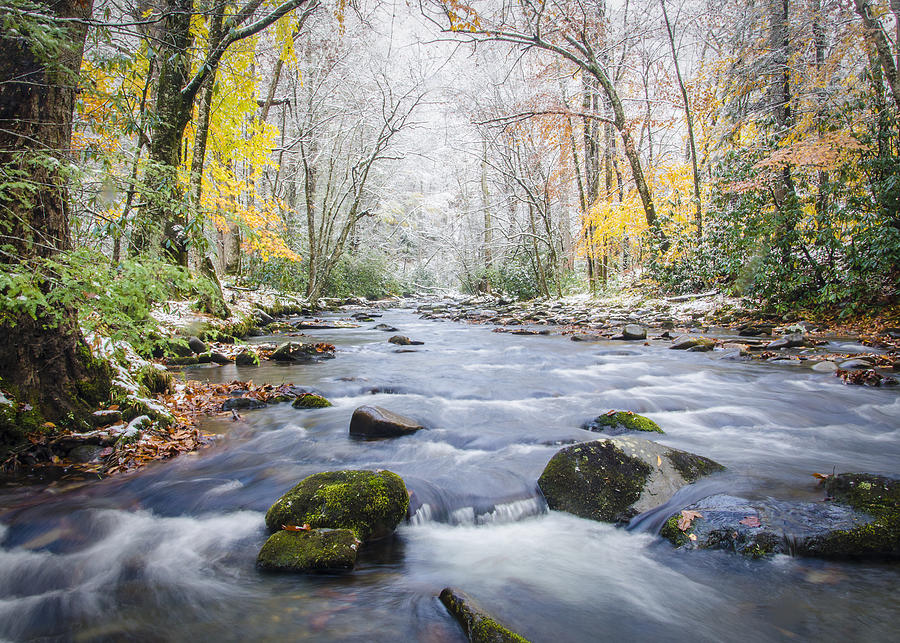 Great Smoky Mountains National Park Nc - Two Seasons In One Day Photograph
