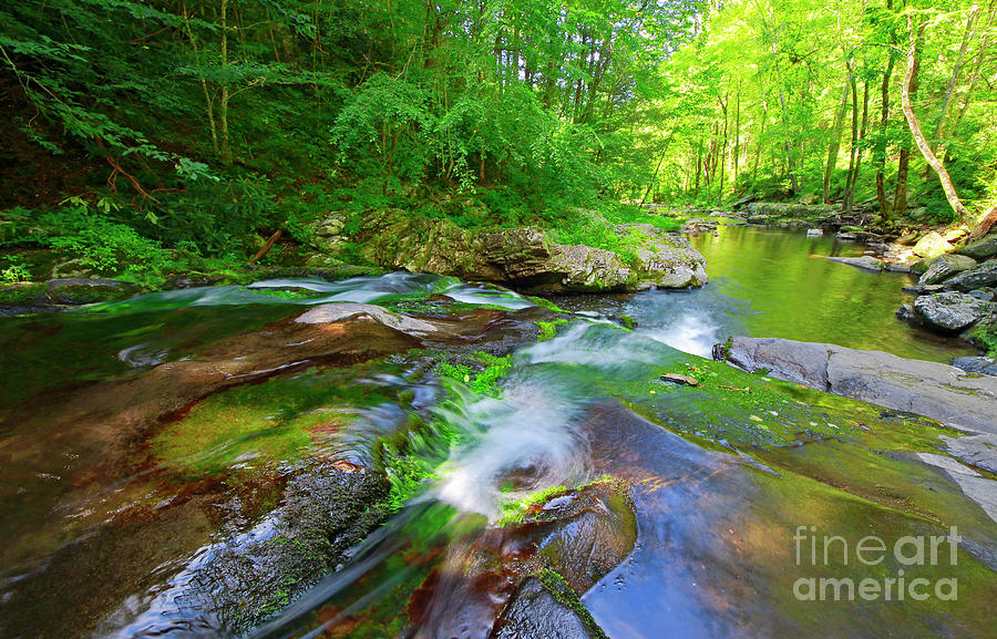 Great Smoky Mountains National Park Scenic Waterfall Landscape Photograph by Charline Xia