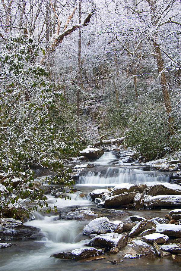 Great Smoky Mountains National Park - Smoky Winter Photograph by Susan ...