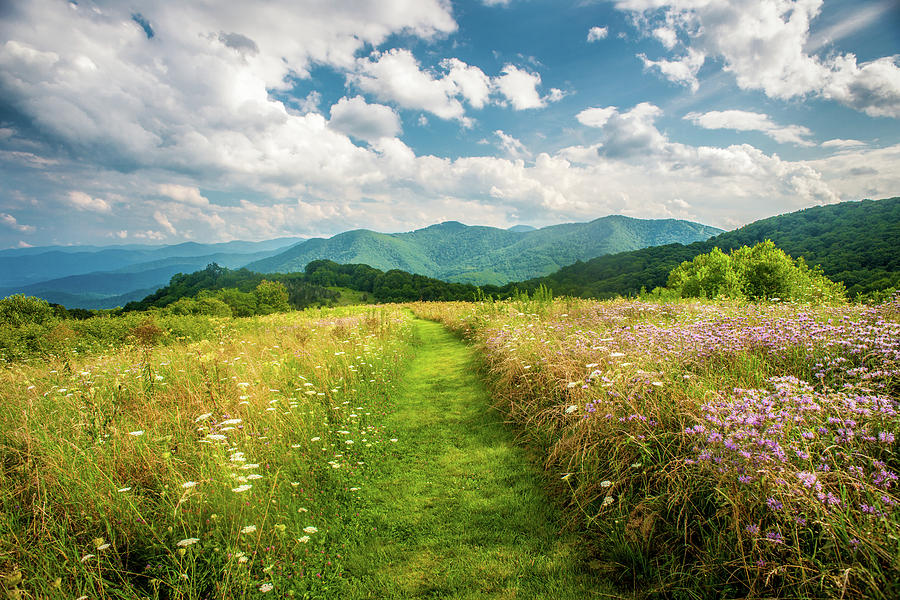 Great Smoky Mountains NC A Walk Through Paradise Photograph by Robert Stephens