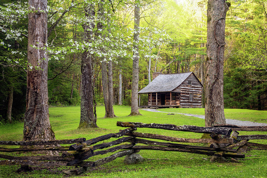 Great Smoky Mountains TN Cades Cove Springtime Photograph by Robert Stephens