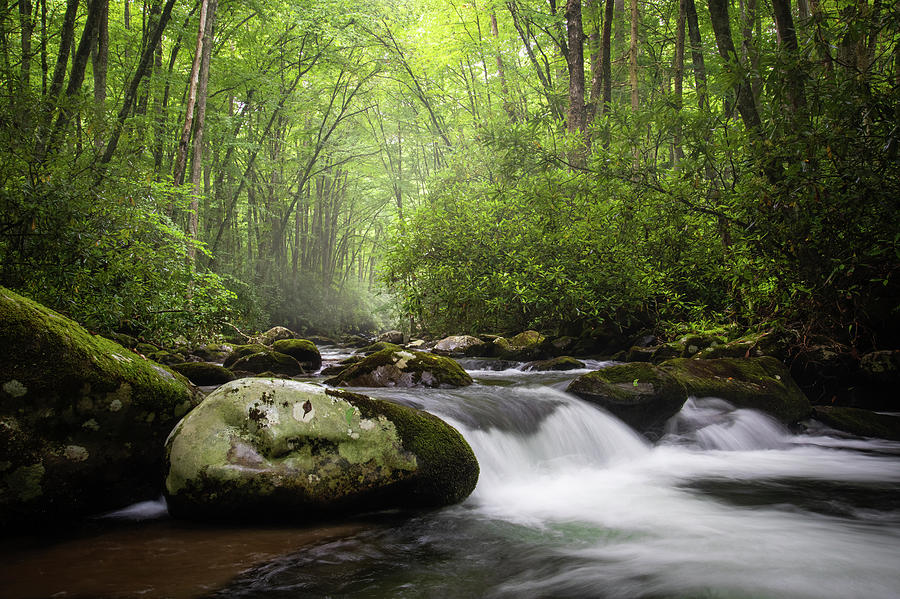 Great Smoky Mountains TN NC Oconaluftee Flow Photograph by Robert Stephens