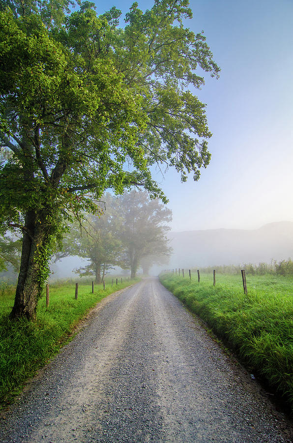 Great Smoky Mountains TN Sparkling Morning Photograph by Robert ...