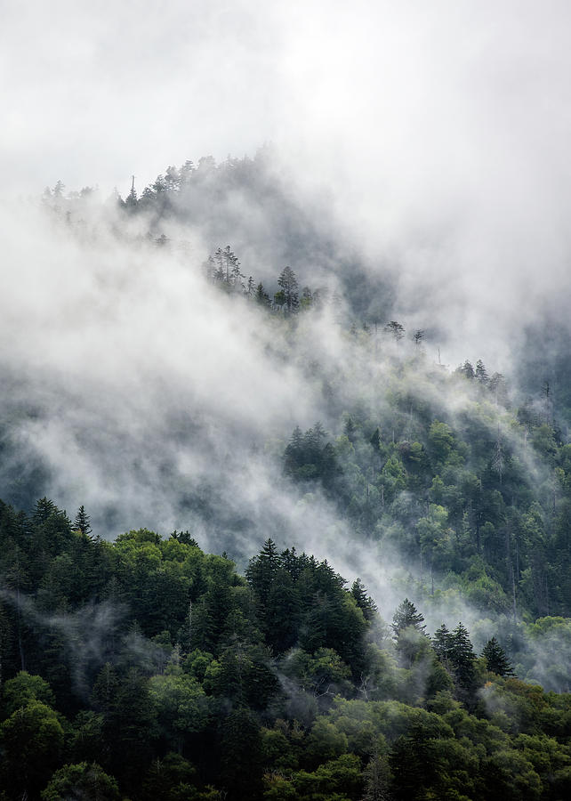 Great Smoky Mountains Tn Tennessee Smoke Photograph