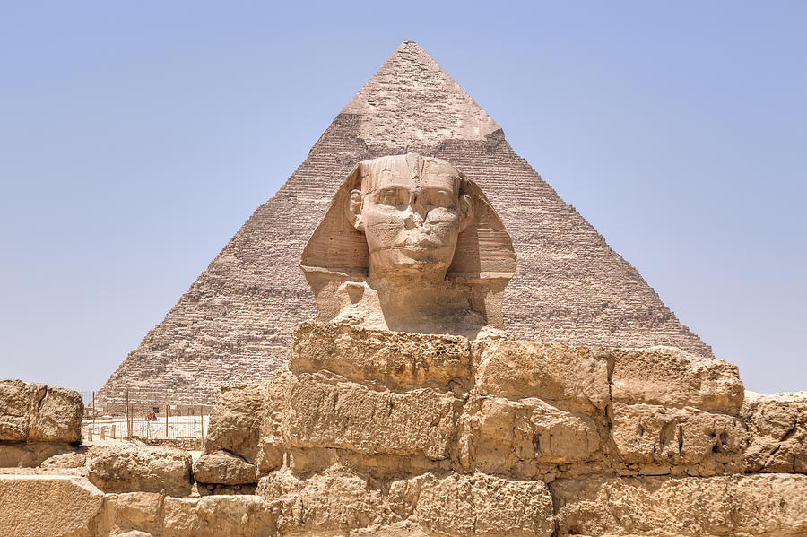 Camel Photograph - Great Sphinx of Giza - Egypt by Joana Kruse