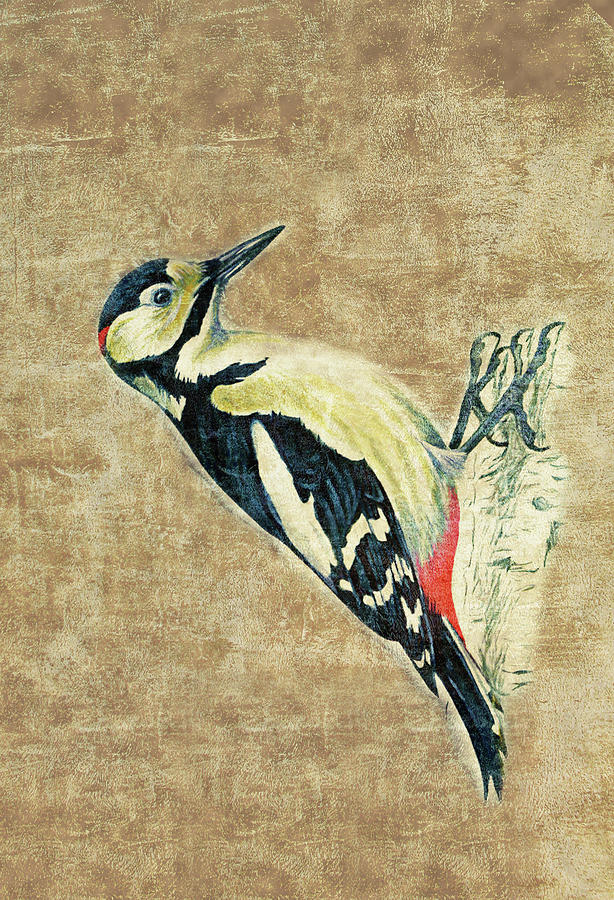 Great Spotted Woodpecker Texture Digital Art by Roy Pedersen