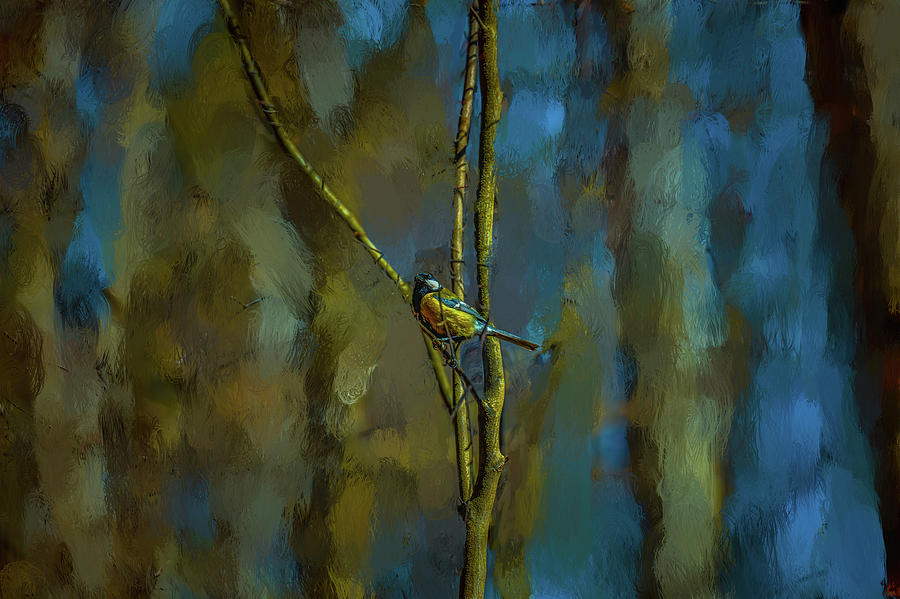Great Tit In Forest #h4 Photograph