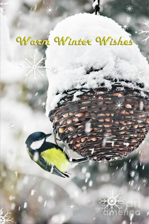 Great Tit in the Snow Card Photograph by Terri Waters