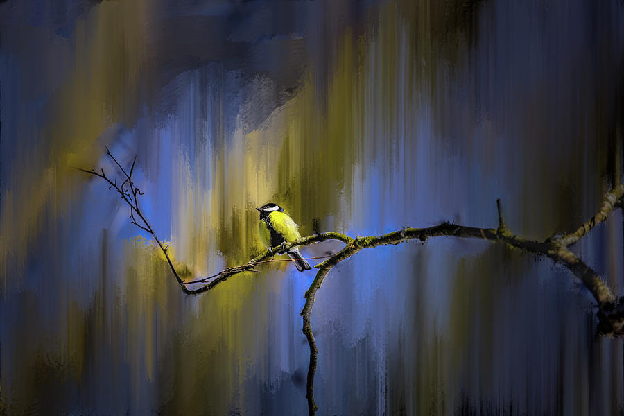 Great tit on branch #h3 Photograph by Leif Sohlman
