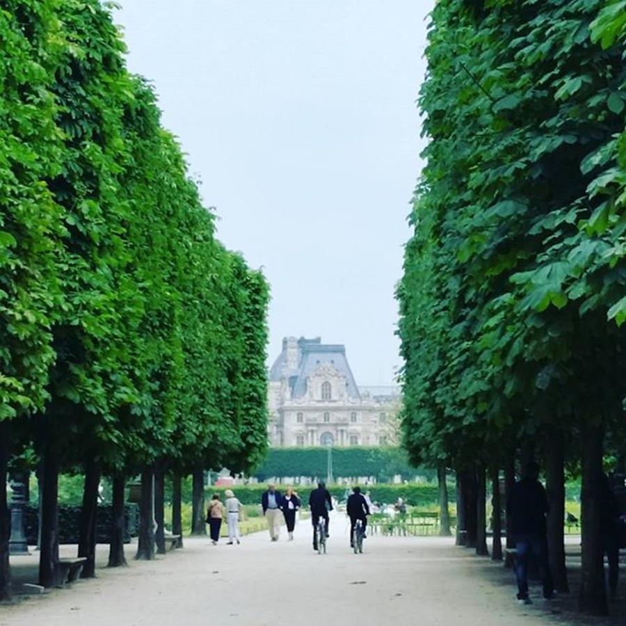 Paris Photograph - Great Walk Around A Great City by Jenny Jen
