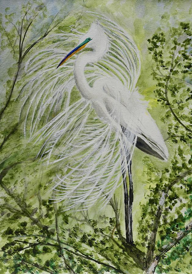 Great White Egret Mating Display 1 Painting by Linda Brody