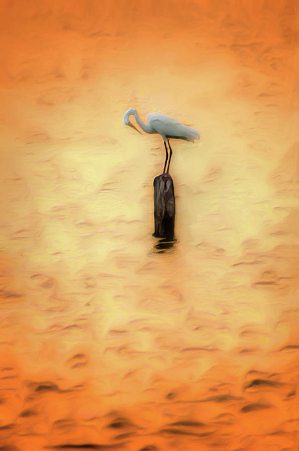 Great White Heron on Currituck Sound Outer Banks AP Painting by Dan Carmichael