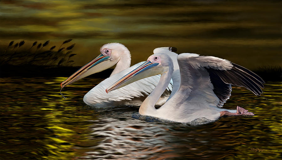 Great White Pelicans Digital Art by Thanh Thuy Nguyen