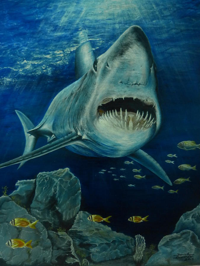 Great White Shark Painting by Derick Alexander | Fine Art America