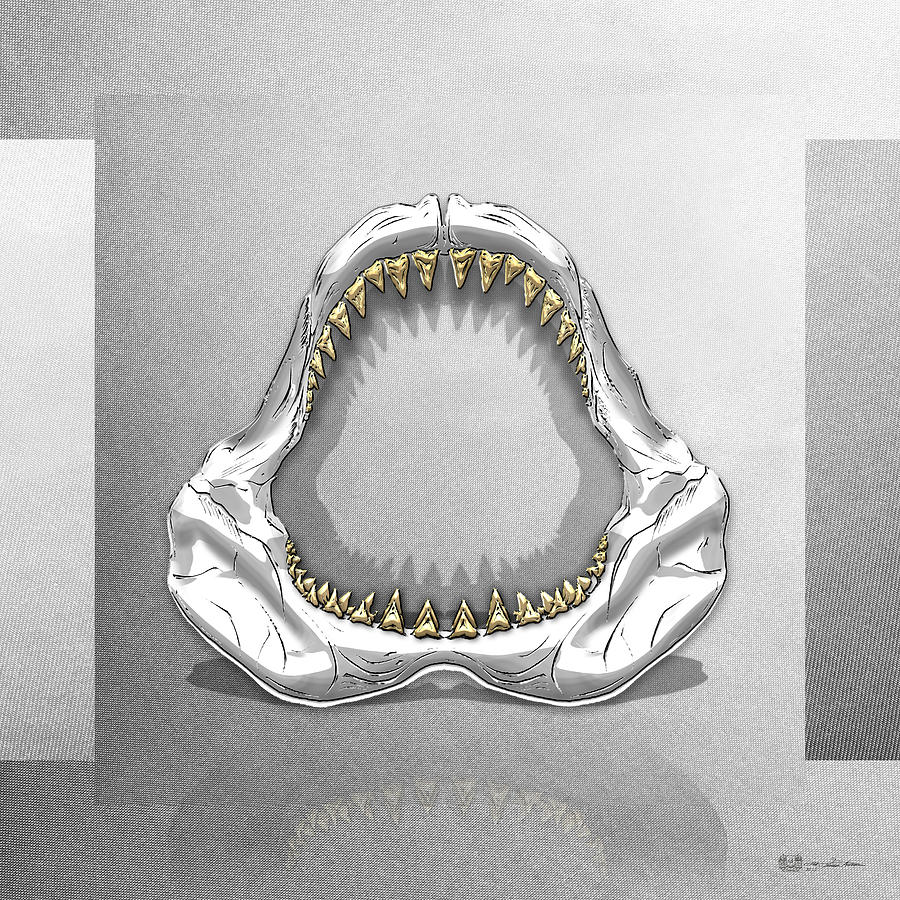 Great White Shark - Silver Jaws with Gold Teeth on White Canvas Digital Art by Serge Averbukh