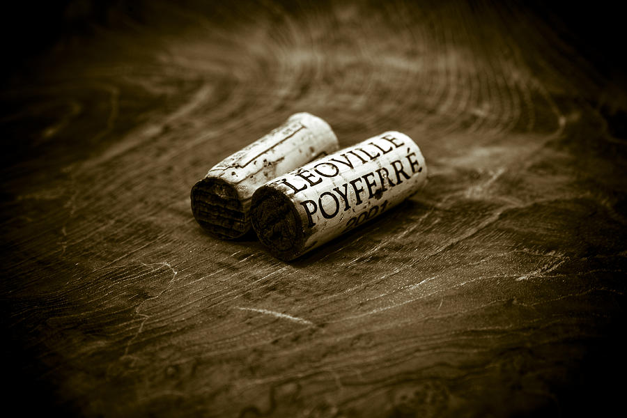 Great Wines Of Bordeaux - Chateau Leoville Poyferre Photograph by Frank Tschakert