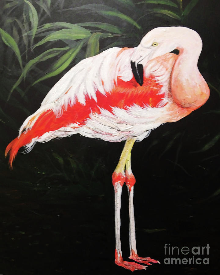 Flamingo Painting - Painting Greater Flamingo by Lizi Beard-Ward