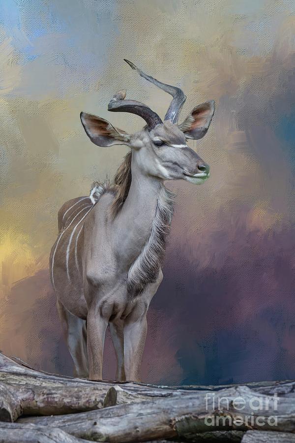 Greater Kudu Photograph by Eva Lechner