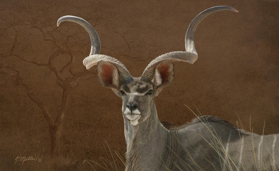 Greater Kudu Painting by Kathie Miller