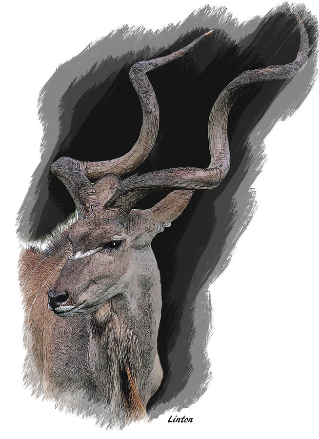Greater Kudu Digital Art by Larry Linton