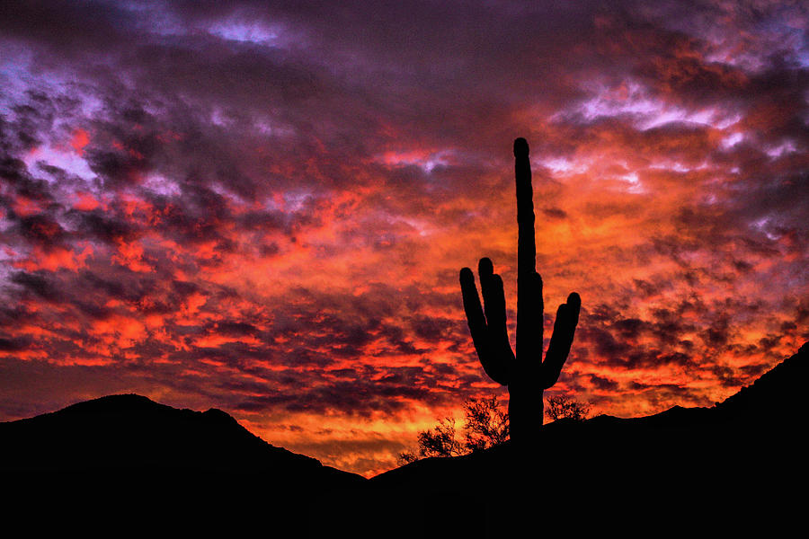 Greater Scottsdale Arizona Photograph by Kyle Findley
