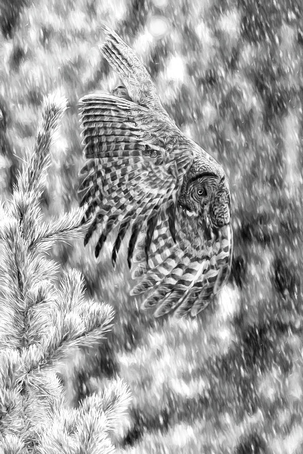 Great Grey Owl in Snowstorm  Photograph by Wes and Dotty Weber
