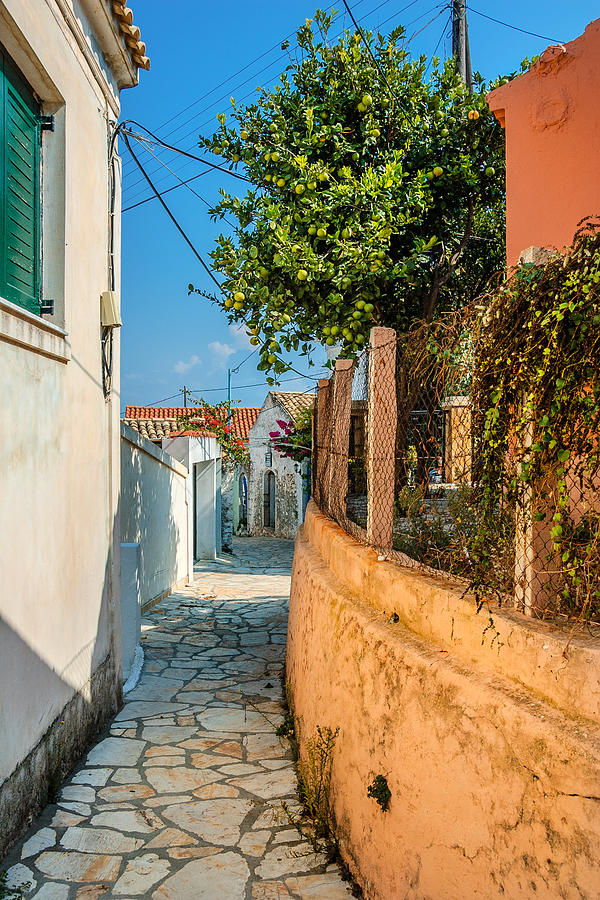 Greece - Afionas Alley with Citrus Tree Photograph by Alexander Kunz