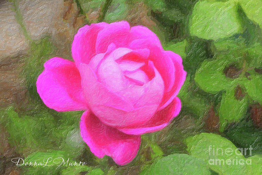 Greece Pink Rose Digital Art by Donna L Munro