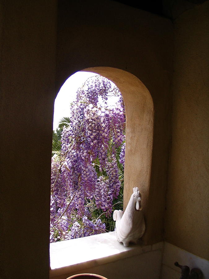 Greece Wisteria through Arched Window Photograph by Yvonne Ayoub