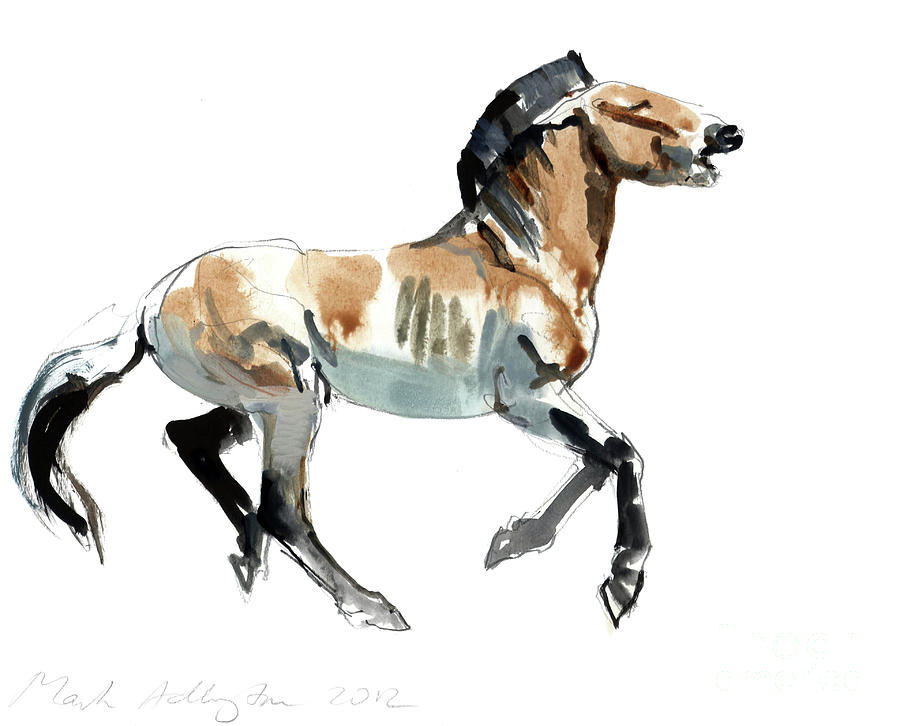 Horse Mixed Media - Greek, Przewalski by Mark Adlington