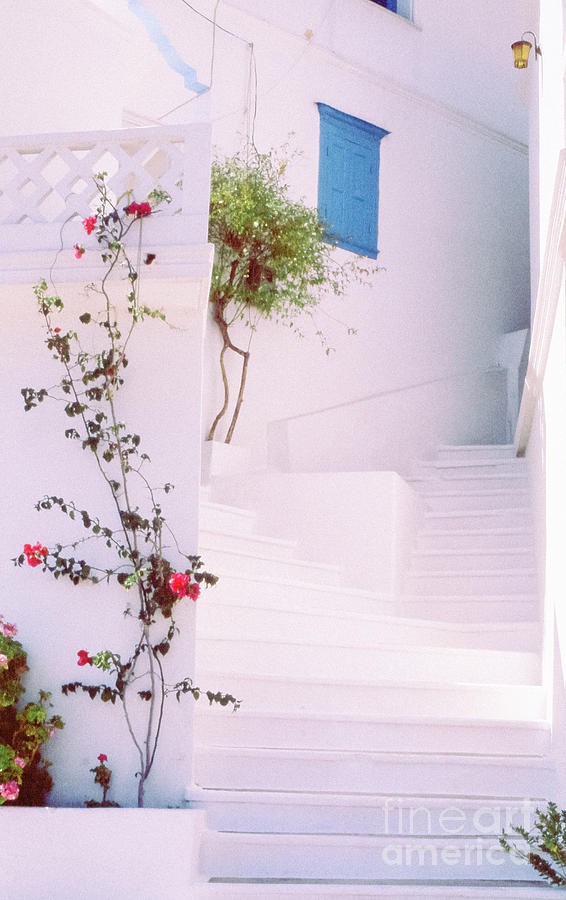 Greek stairway with roses Photograph by Silvia Ganora