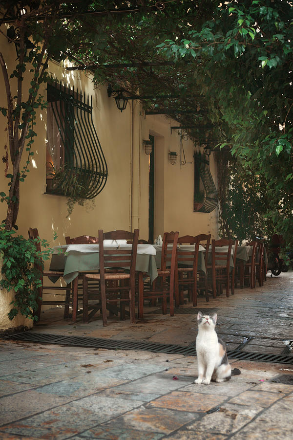 Greek Photograph - Greek streets - Corfu by Cambion Art