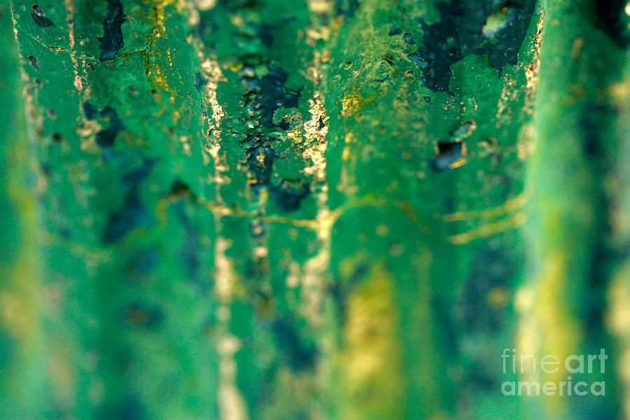 Abstract Photograph - Green abstract by Gaspar Avila