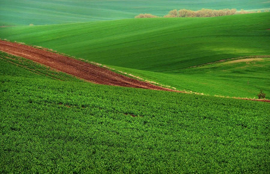 Green Abstract of Farmland Photograph by Jenny Rainbow