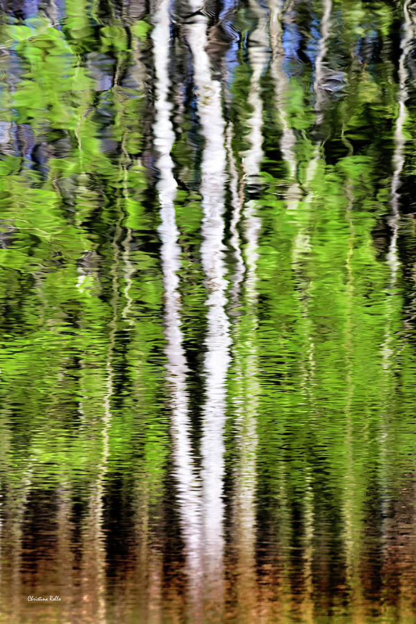 Abstract Photograph - Green Abstract Tree Reflection by Christina Rollo