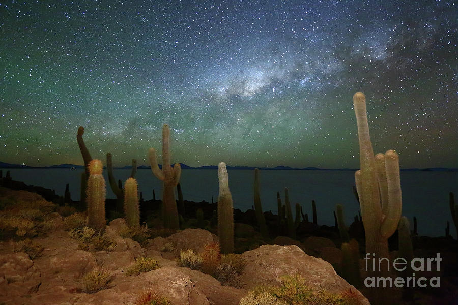 Green Airglow and Cacti on Incahuasi Island Bolivia Photograph by James Brunker