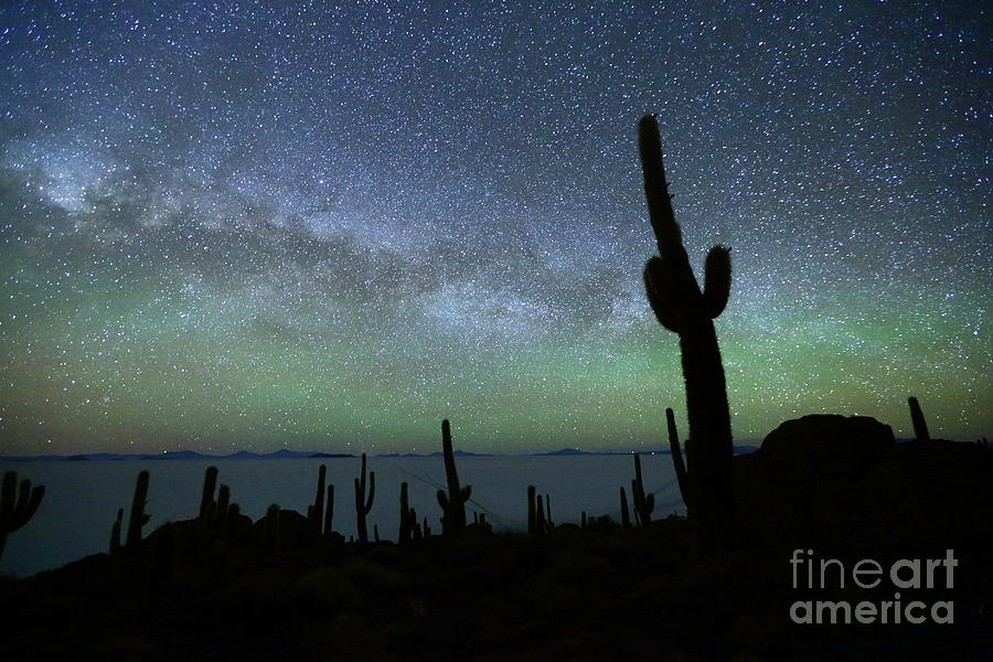 Nature Photograph - Green Airglow and Cactus Silhouette Incahuasi Island Bolivia by James Brunker