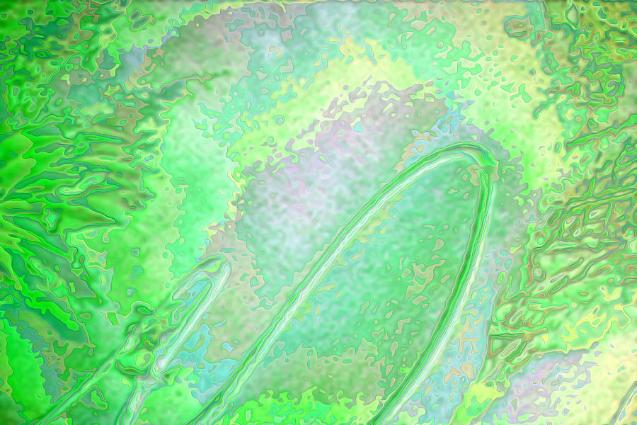 Green Algae Digital Art