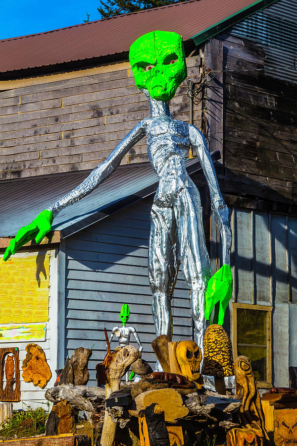 Green Alien Space Creature Photograph by Garry Gay