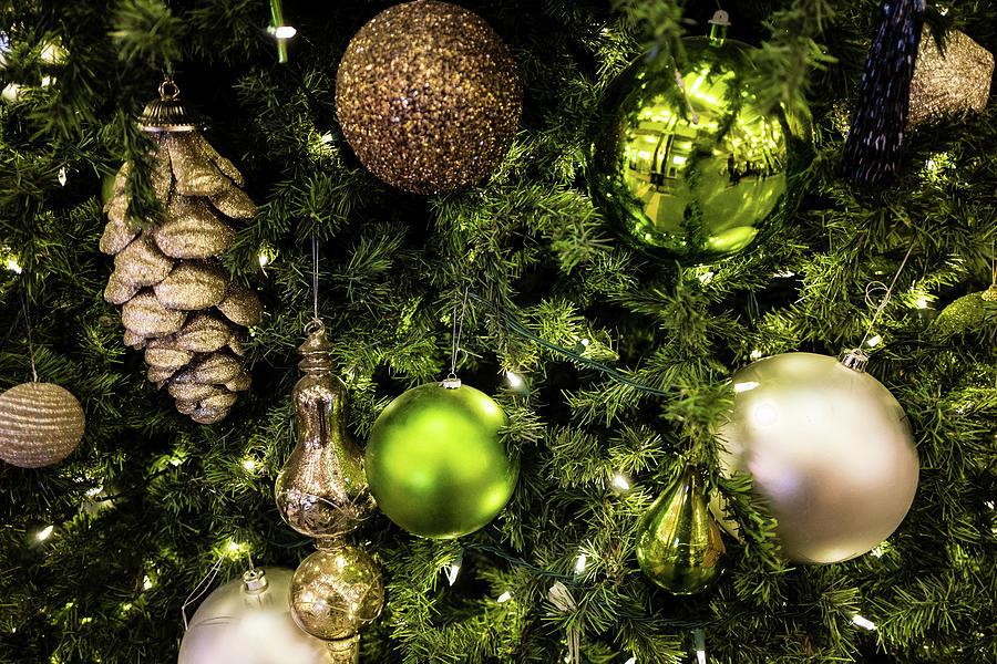 Green and Gold Christmas Photograph by M G Whittingham