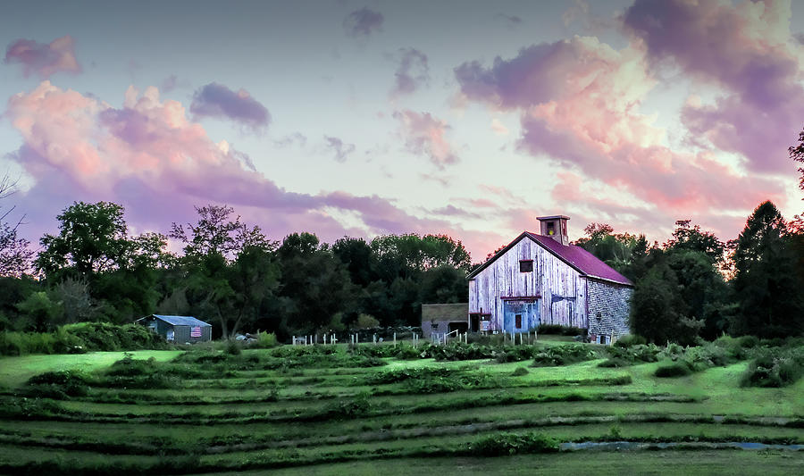 Barn Photograph - Green and Magenta Farm Sunset by Betty Denise