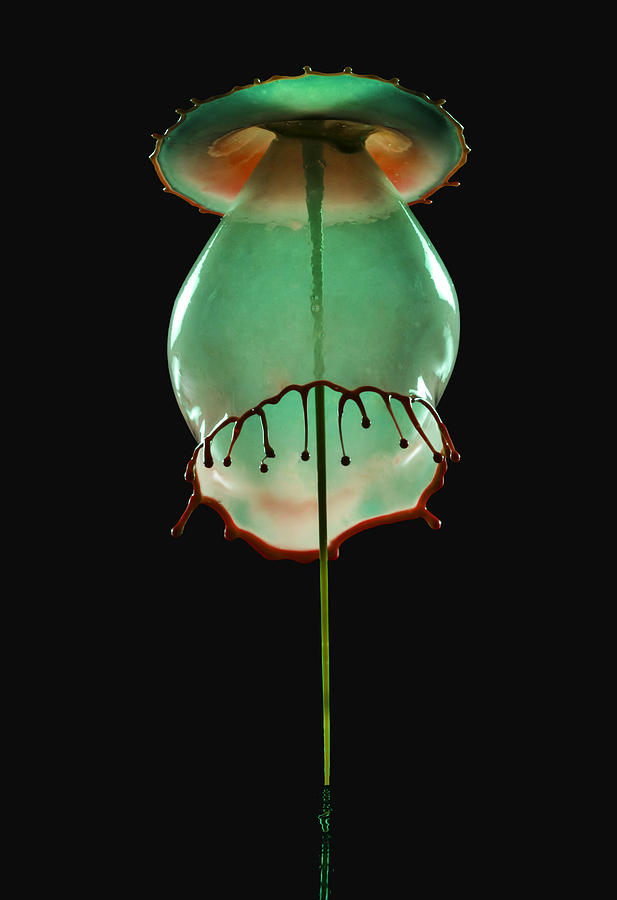 Green and orange water form Photograph by Jaroslaw Blaminsky