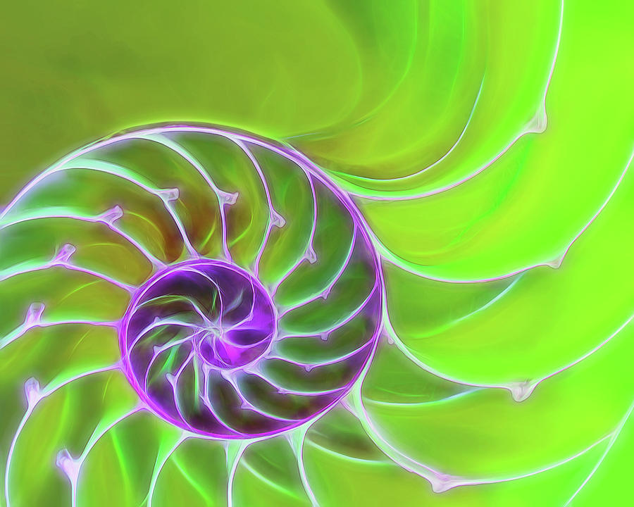 Abstract Photograph - Green and Purple Spiral by Gill Billington