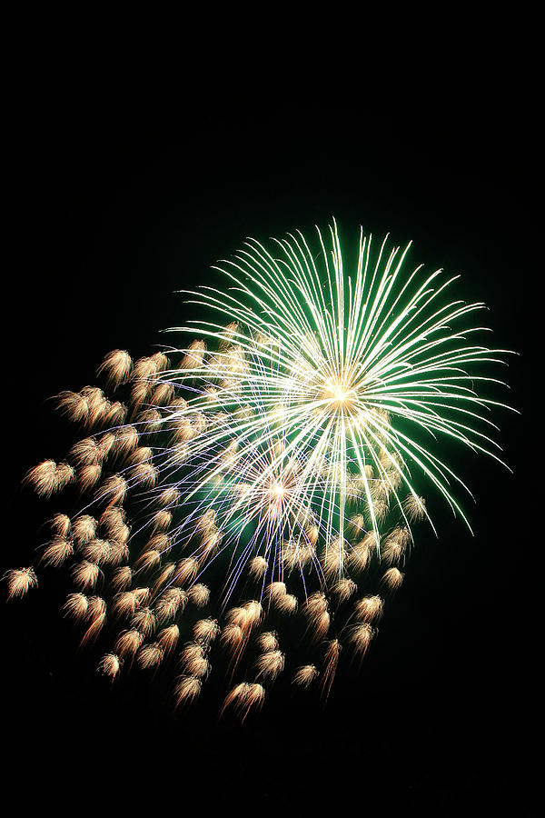 Green and White Stars Photograph by Pauline Darrow | Fine Art America