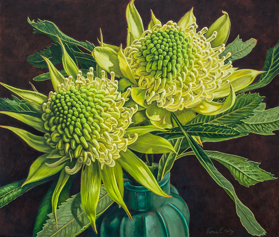 Flower Painting - Green and White Waratahs 1 by Fiona Craig