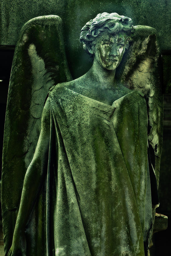 Green Angel Photograph by Harry Spitz
